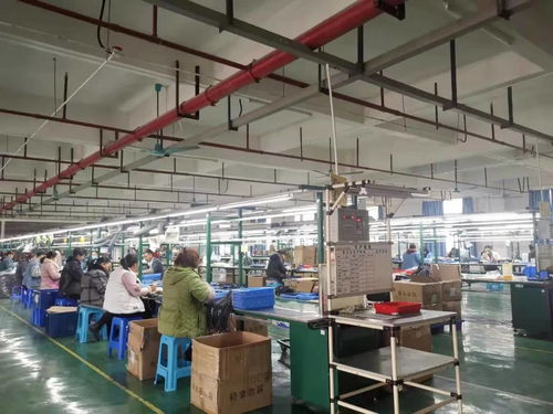 金沙 持續優化營商環境 增強企業發展信心