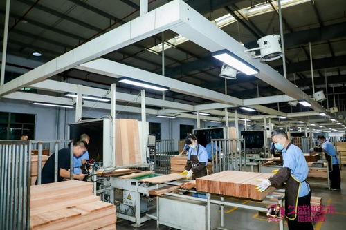 深化供應鏈體系強化產品研發技術, 久盛地板助力國民健康品質生活