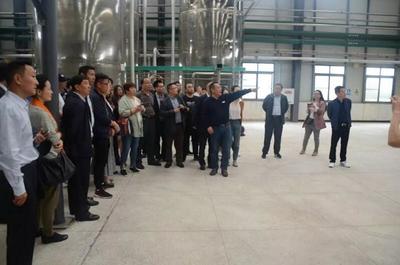 聚焦甘草產業 直擊發展痛點--2019年全國甘草進出口工作會議在重慶召開