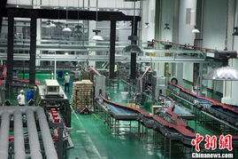 組圖 探訪廣西 東盟經濟技術開發區